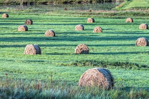 AGRINSIEME, SODDISFAZIONE PER MODIFICHE INTRODOTTE ALLA PAC CON APPROVAZIONE REGOLAMENTO OMNIBUS